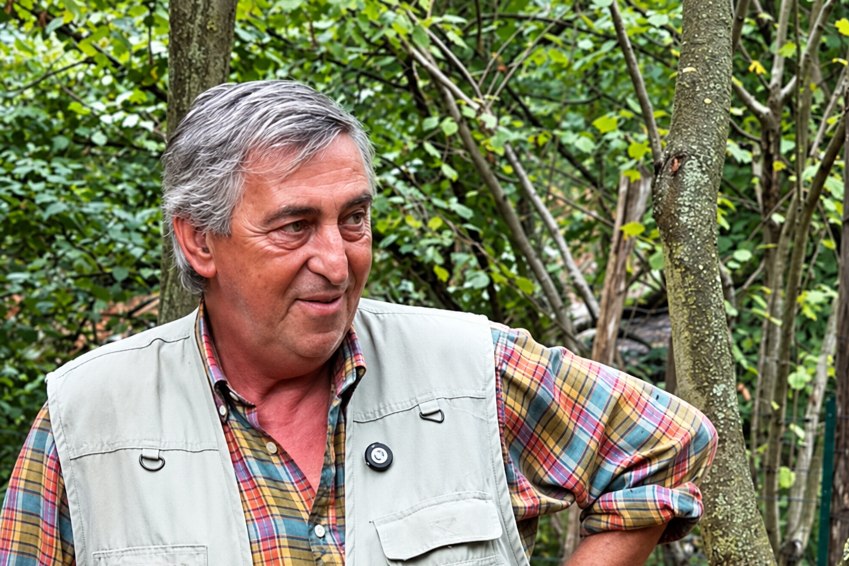ricerca del tartufo